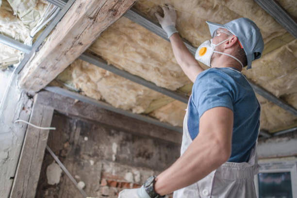Best Energy Efficiency Solutions in Stlman Valley, IL