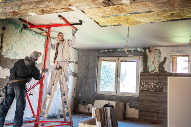 Best Insulation Installation Services in Stlman Valley, IL