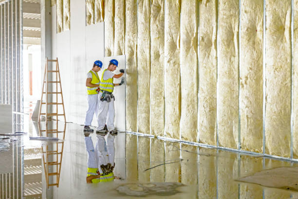 Best Types of Insulation in Stlman Valley, IL